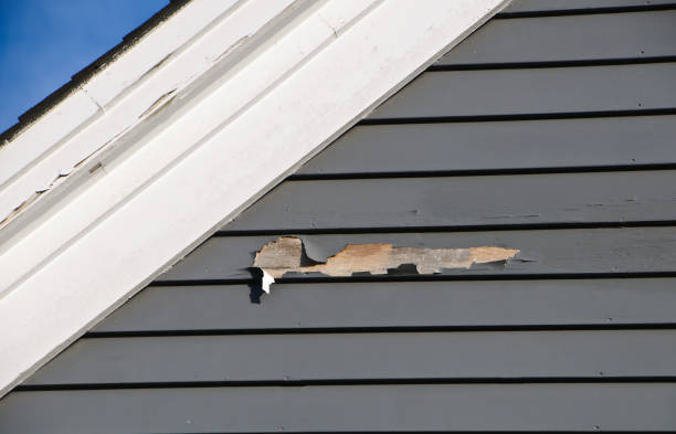 How To Choose The Right Materials for Your Siding Installation in 'Christmas, FL